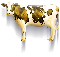 アブダクション牛